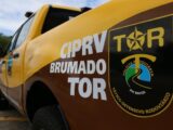 Carga com cigarros eletrônicos e perfumes importados é apreendida em abordagem na BR-122, em Candiba