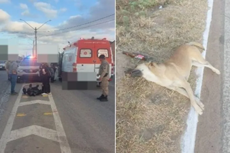 Motociclista fica ferido após atropelar cachorro na BR-030 em Guanambi