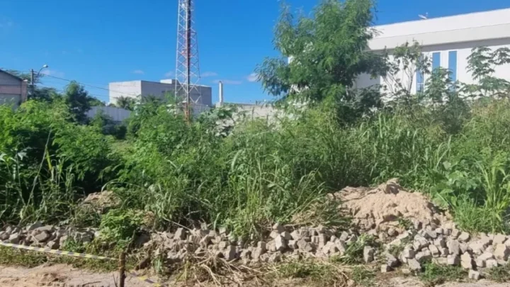Guanambi cria novas regras para fiscalização de terrenos com mato, lixo e entulho