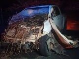 Agricultor morre após charrete ser atingida por caminhonete em Carinhanha Agricultor morre após charrete ser atingida por caminhonete em Carinhanha