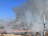 Homem é multado em R$ 1,2 mil após ser flagrado ateando fogo em lote em Guanambi Homem é multado em R$ 1,2 mil após ser flagrado ateando fogo em lote em Guanambi
