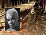 Homem de 36 anos morre após acidente de motocicleta na zona rural de Igaporã