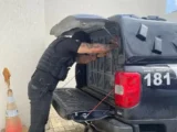 Operação da Polícia Civil investiga crimes sexuais contra crianças e adolescentes em Botuporã