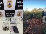Suspeito é preso por tráfico de drogas durante operação ‘Olho de Hórus’ da Polícia Civil em Licínio de Almeida