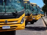 MP recomenda que Urandi proíba transporte de botijões de gás e leite em ônibus escolares