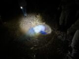 Idoso de 86 anos é encontrado morto após possível ataque de abelhas na zona rural de Guanambi Idoso de 86 anos é encontrado morto após possível ataque de abelhas na zona rural de Guanambi