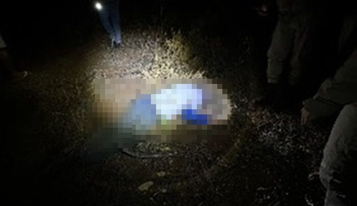 Idoso de 86 anos é encontrado morto após possível ataque de abelhas na zona rural de Guanambi