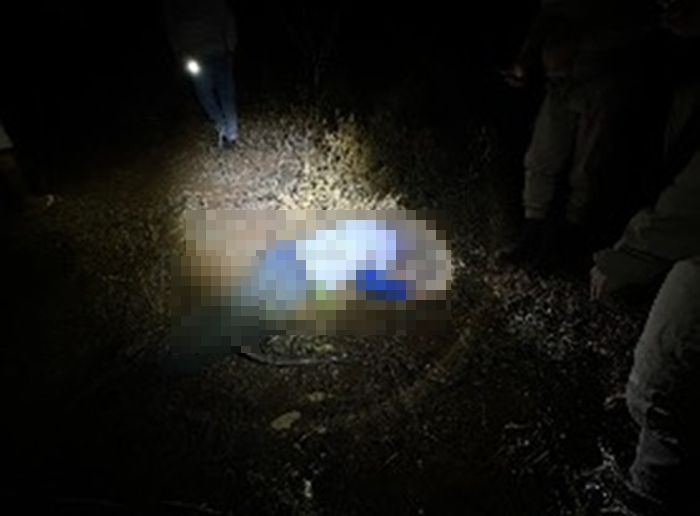 Idoso de 86 anos é encontrado morto após possível ataque de abelhas na zona rural de Guanambi