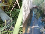 Guanambi: Cooperativa dos Irrigantes faz alerta de crise hídrica na Barragem de Ceraíma Guanambi: Cooperativa dos Irrigantes faz alerta de crise hídrica na Barragem de Ceraíma