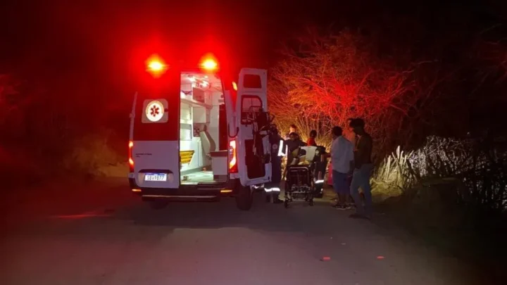 Grave acidente entre ônibus e carreta deixa seis mortos e mais de 30 feridos em MG