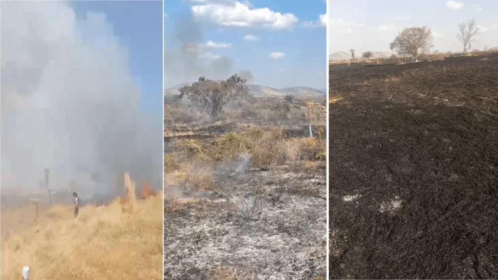 Incêndio destrói propriedades rurais e causa prejuízos em Candiba