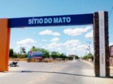 Jovem de 20 anos é preso suspeito de tentar matar o próprio pai em Sítio do Mato Jovem de 20 anos é preso suspeito de tentar matar o próprio pai em Sítio do Mato